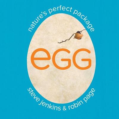 Egg: Nature’s Perfect Package