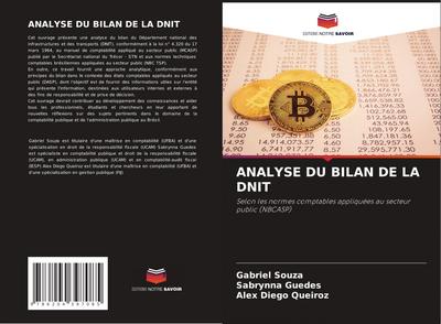 ANALYSE DU BILAN DE LA DNIT