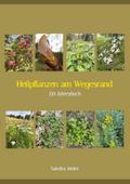 Heilpflanzen am Wegesrand