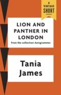 Lion and Panther in London