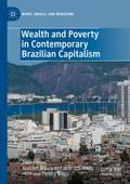 Wealth and Poverty in Contemporary Brazilian Capitalism