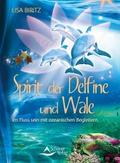 Spirit der Delfine und Wale