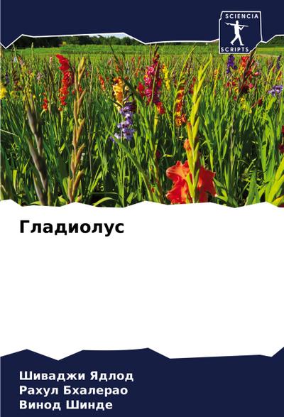 Gladiolus