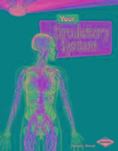 Storad, ,: Your Circulatory System