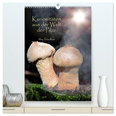 Kuriositäten aus der Welt der Pilze (hochwertiger Premium Wandkalender 2026 DIN A2 hoch), Kunstdruck in Hochglanz