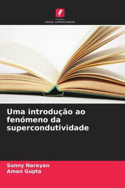 Uma introdução ao fenómeno da supercondutividade