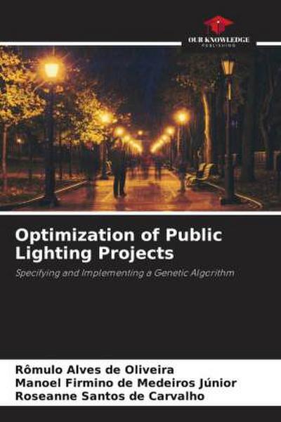 Optimization of Public Lighting Projects