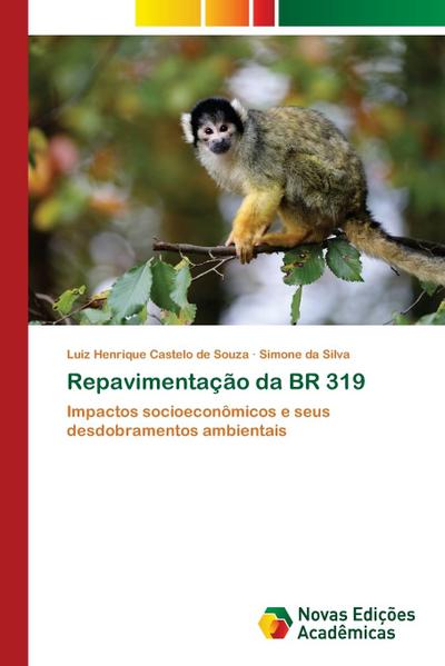 Repavimentação da BR 319