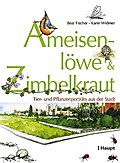 Ameisenlöwe & Zimbelkraut