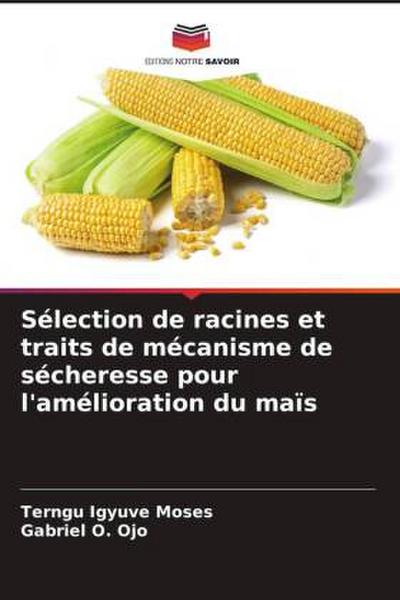 Sélection de racines et traits de mécanisme de sécheresse pour l’amélioration du maïs