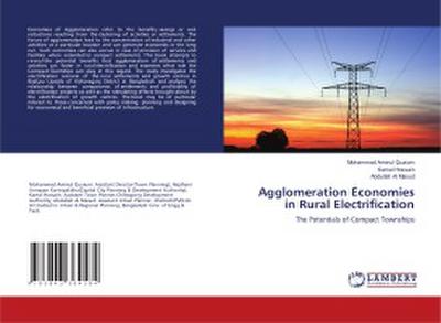 Agglomeration Economies in Rural Electrification