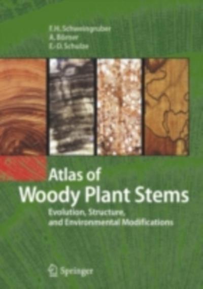 Atlas of Woody Plant Stems