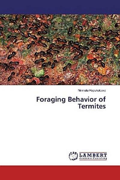 Foraging Behavior of Termites