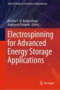 Electrospinning for Advanced Energy Storage Applications