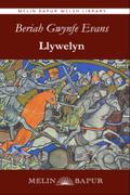 Llywelyn (eBook)