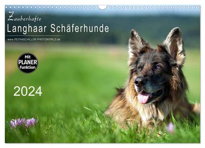 Zauberhafte Langhaar Schäferhunde (Wandkalender 2024 DIN A3 quer), CALVENDO Monatskalender