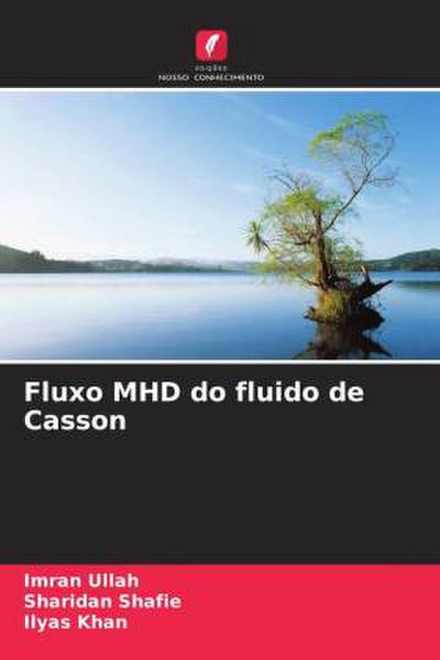 Fluxo MHD do fluido de Casson