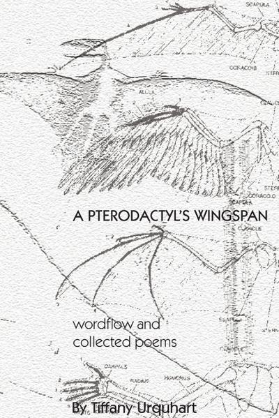 A Pterodactyl’s Wingspan
