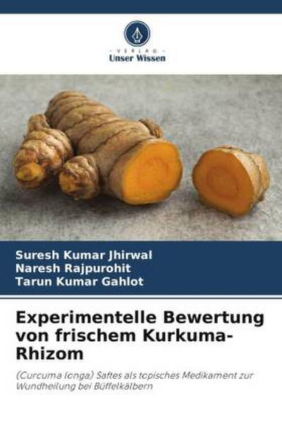 Experimentelle Bewertung von frischem Kurkuma-Rhizom