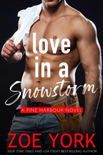 Love in a Snowstorm (Pine Harbour, #2)