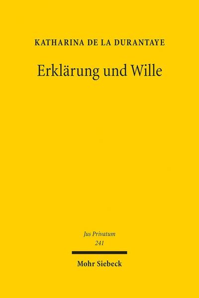 Erklärung und Wille