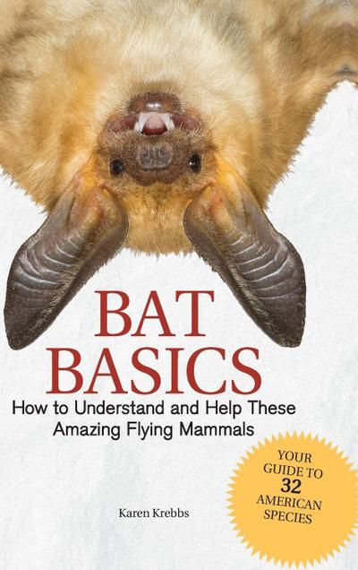Bat Basics
