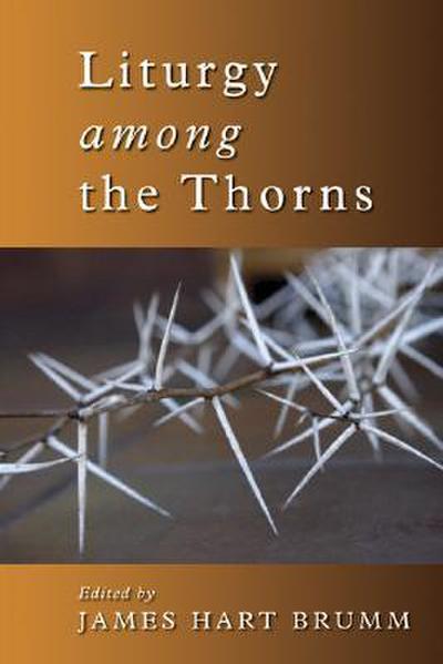 Liturgy Among the Thorns: Essays on Worship in the Reformed Church in America