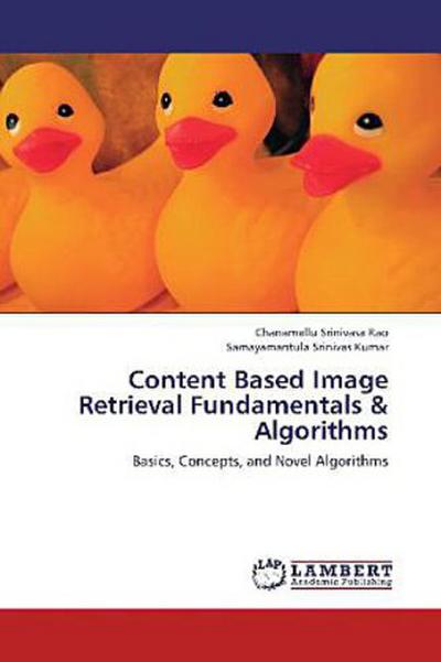 Content Based Image Retrieval Fundamentals & Algorithms