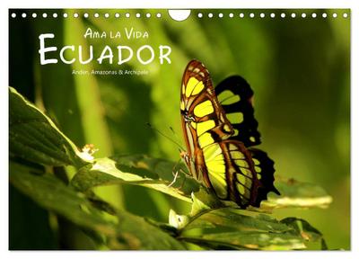 Ama la Vida Ecuador (Wandkalender 2025 DIN A4 quer), CALVENDO Monatskalender
