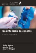 Desinfección de canales