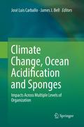 Climate Change, Ocean Acidification and Sponges