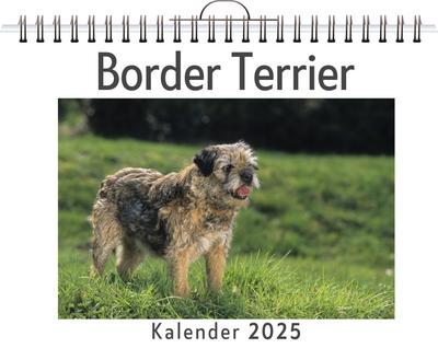 Peters, A: Border Terrier