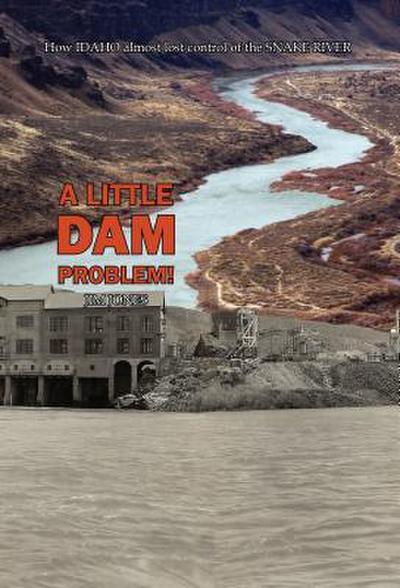 A Little Dam Problem