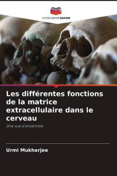 Les différentes fonctions de la matrice extracellulaire dans le cerveau