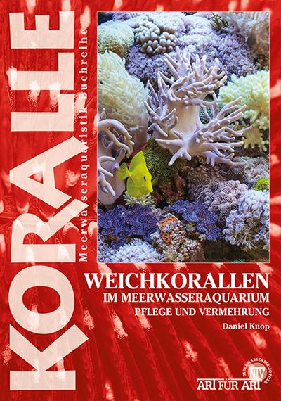 Weichkorallen im Meerwasseraquarium