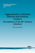 Agglomeration, Industrial Districts and Industry Clusters