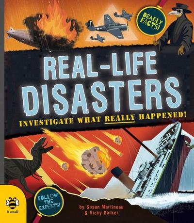 Martineau, S: Real-life Disasters