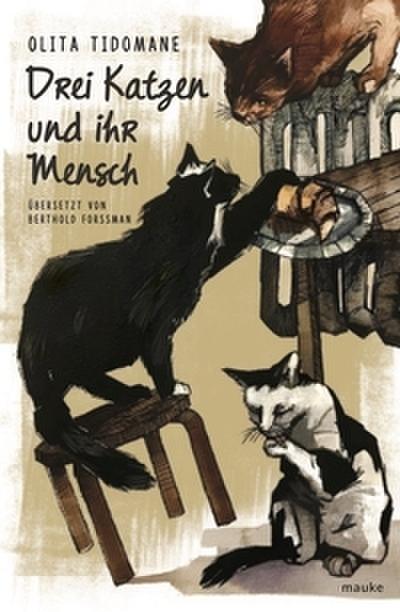 Drei Katzen und ihr Mensch