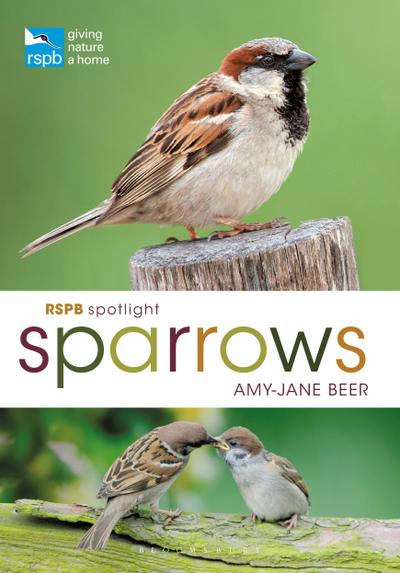 Rspb Spotlight Sparrows