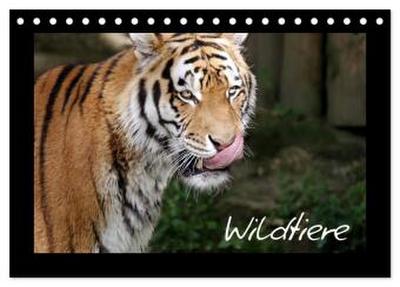 Wildtiere (Tischkalender 2026 DIN A5 quer), CALVENDO Monatskalender