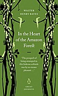 In the Heart of the Amazon Forest