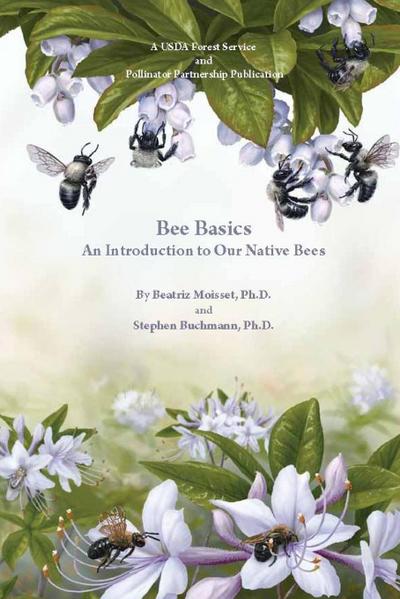 Bee Basics