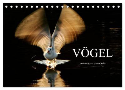 VÖGEL (Tischkalender 2027 DIN A5 quer), CALVENDO Monatskalender