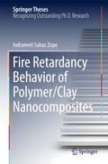 Fire Retardancy Behavior of Polymer/Clay Nanocompo