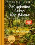 Das geheime Leben der Bäume