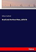 Brazil and the River Plate, 1870-76