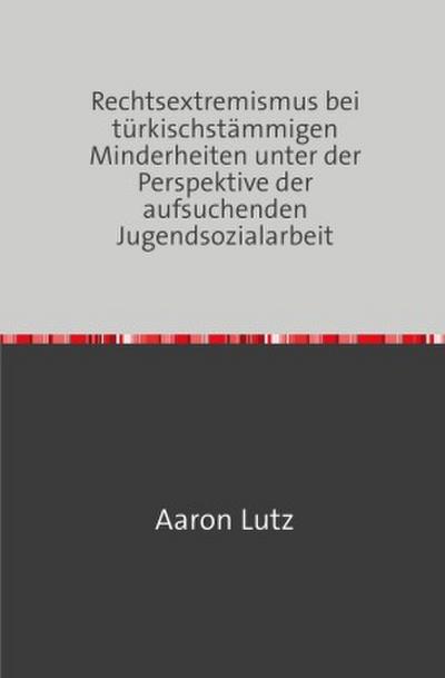 Rechtsextremismus bei türkischstämmigen Minderheiten unter der Perspektive der aufsuchenden Jugendsozialarbeit