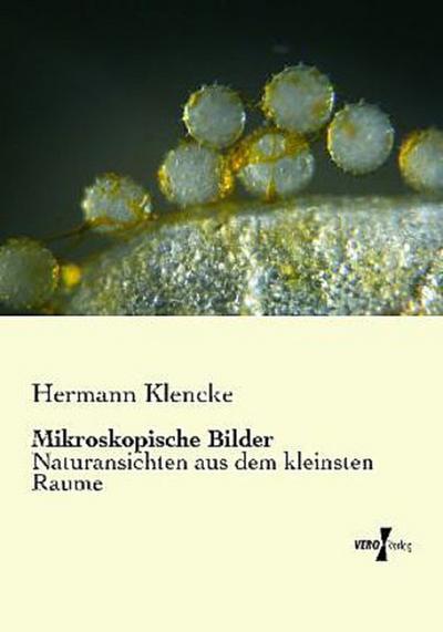Mikroskopische Bilder