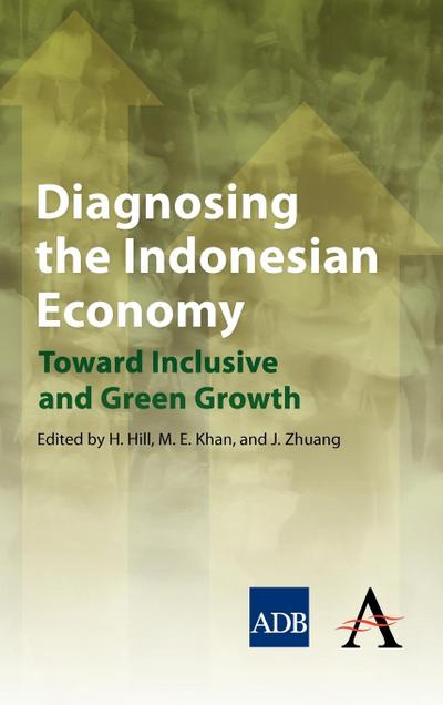 Diagnosing the Indonesian Economy