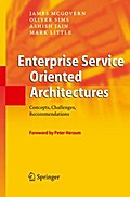 Enterprise Service Oriented Architectures